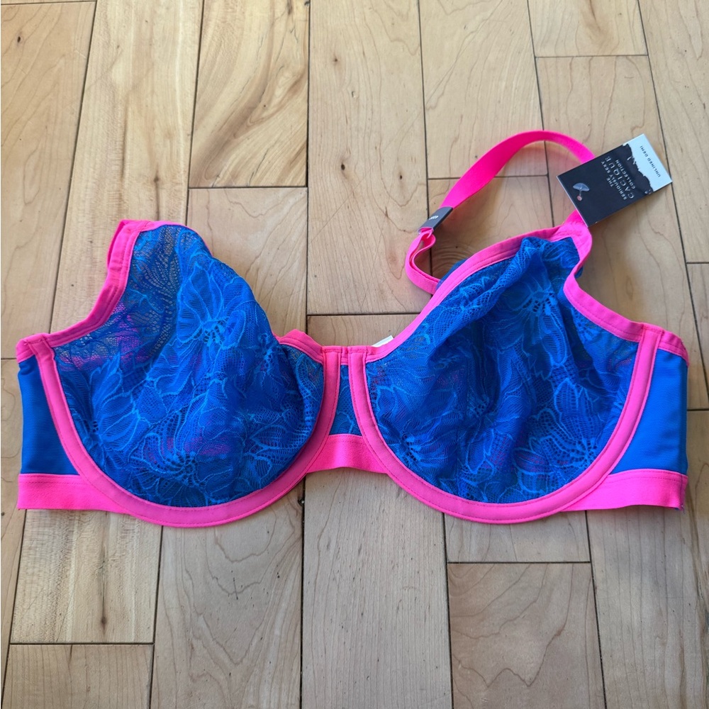 Cacique Blue and Pink Lace Bra